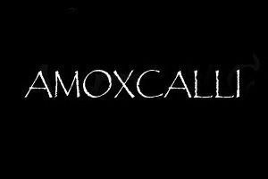 amcxcallo 1