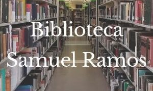 bibsamuel